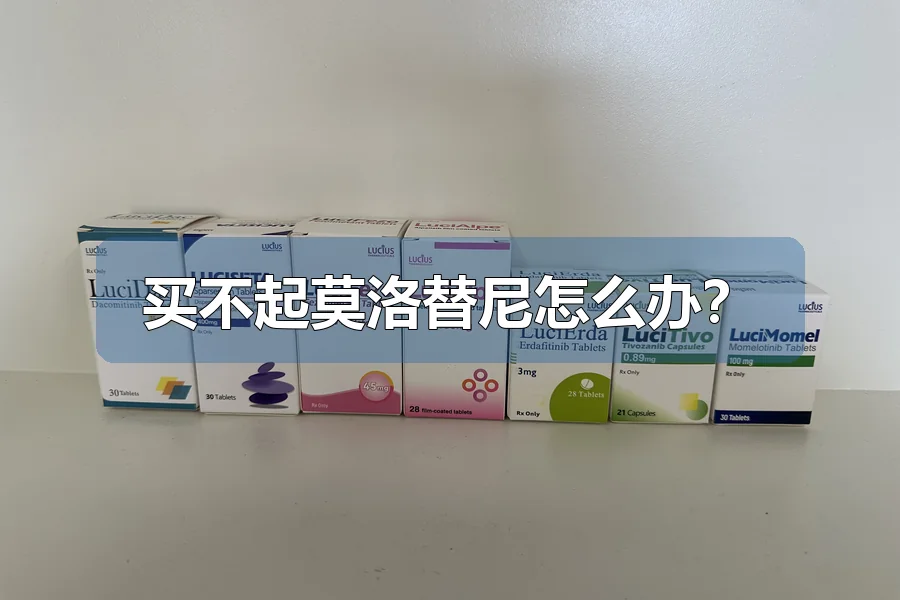买不起莫洛替尼怎么办?